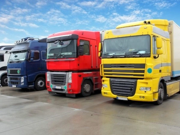 Antalya Çay Nakliye